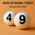 Nuôi đầu đuôi khung 7 ngày