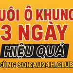 Bí Kíp Nuôi Lô Khung 3 Ngày Hiệu Quả