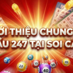 Soi Cầu 247 Chính Xác 100 Tại Soi Cầu 24h – Chuyên Trang Dự Đoán Xổ Số Uy Tín