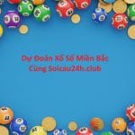Dự Đoán XSMB – Soi Cầu 24h & Soi Cầu 247 Chính Xác Hôm Nay