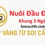 Nuôi Đầu Đuôi Khung 3 Ngày