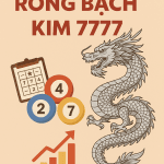 Soi Cầu Rồng Bạch Kim 7777 – Hệ Thống Dự Đoán XSMB Đỉnh Cao Tại Soicau24h.pro