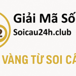 Giải Mã Số Học – Khám Phá 7 Cao Thủ Chốt Số XSMB Tại Soi Cầu 24h