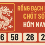 RỒNG BẠCH KIM CHỐT SỐ HÔM NAY 04-08-2025 – DỰ ĐOÁN CHUẨN ĐẾN TỪNG NHỊP TIM!