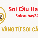 Soi Cầu Hay 247 có dự đoán XSMB chính xác hay không – Đánh giá chi tiết từ Soi Cầu 24h