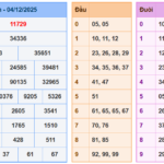 Soi Cầu 24h Hôm Nay 05-12-2025
