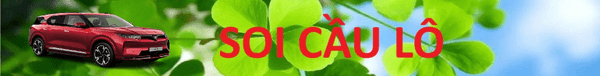 Soi cầu miền bắc